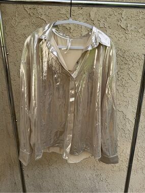 Anthropologie Champagne and Silver Sheen Blouse